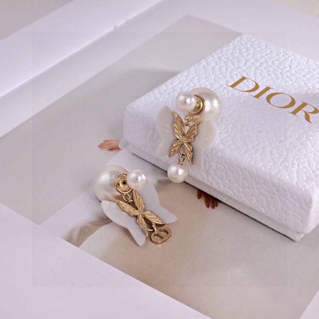Dior Earring 04yxs301